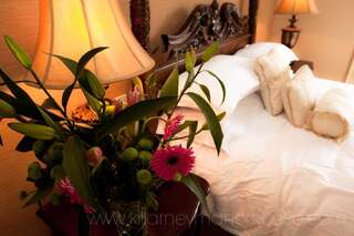 Дома для отпуска Killarney Manor House Килларни Дом с 11 спальнями-22