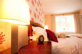 Дома для отпуска Killarney Manor House Килларни Дом с 11 спальнями-49